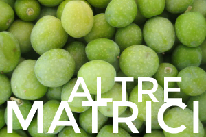 Altre matrici